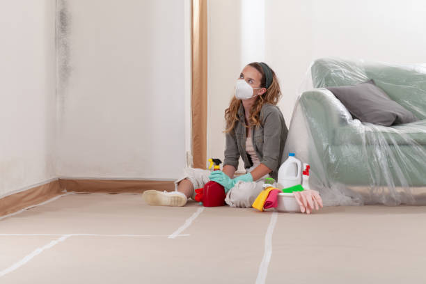 Reliable Mold Inspection contractor in Opa-locka, FL by WQB Mold Removal